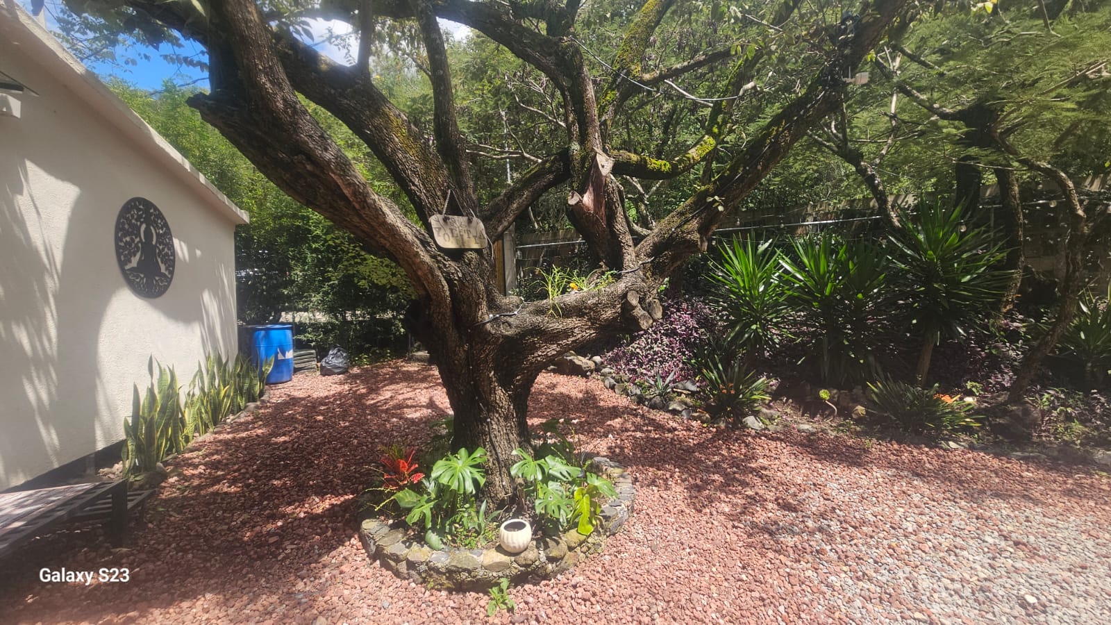 Fotografía adicional de Peña del Río 3